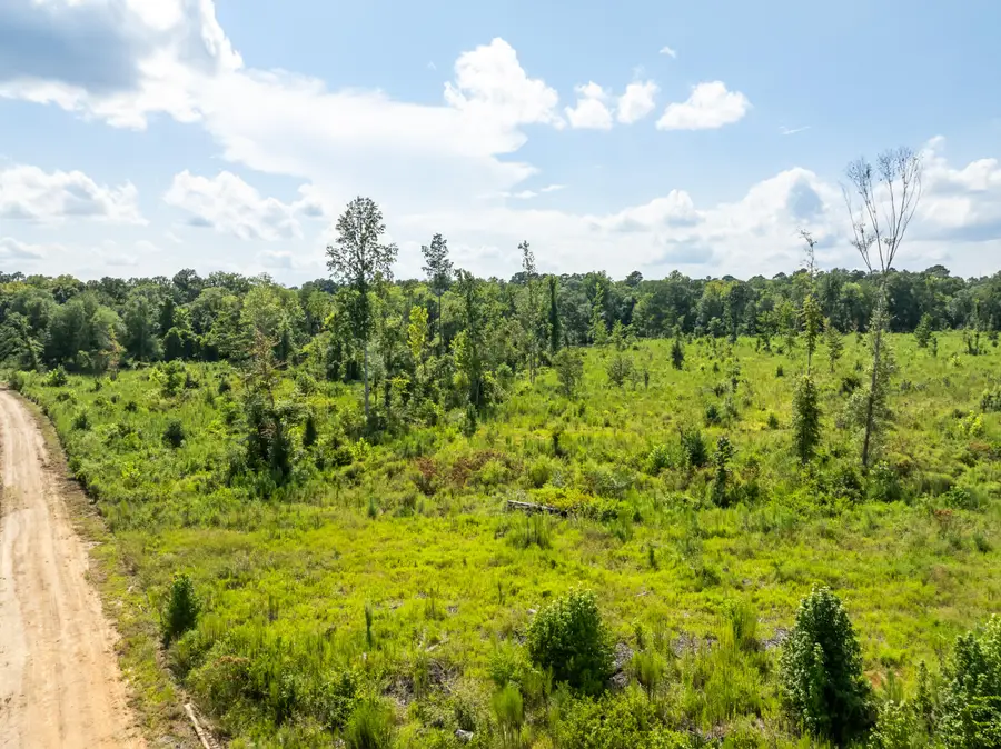 13.5 Mol Ac I-45, Shubuta, MS 39360 - Image #3