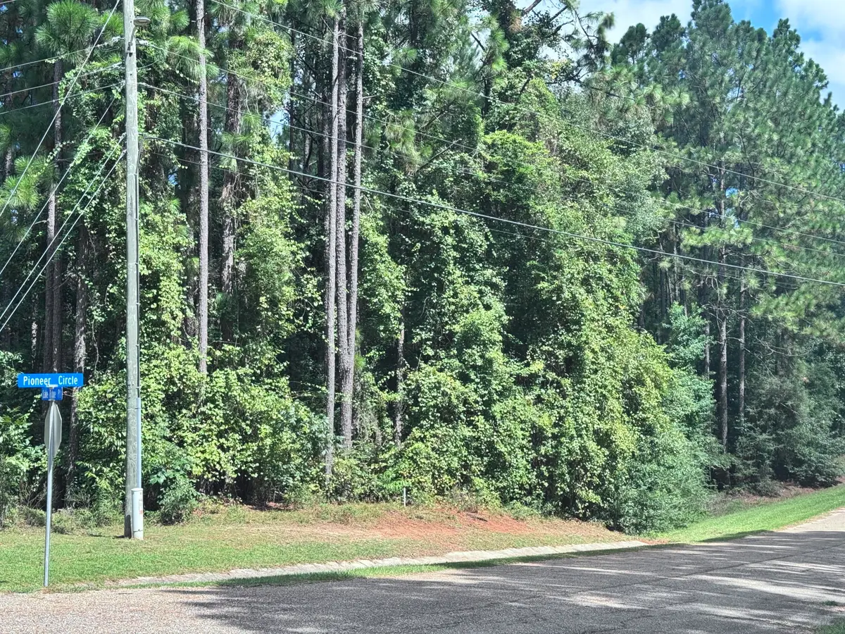 0 Lakeridge Point, Lumberton, MS 39455 - Image #1