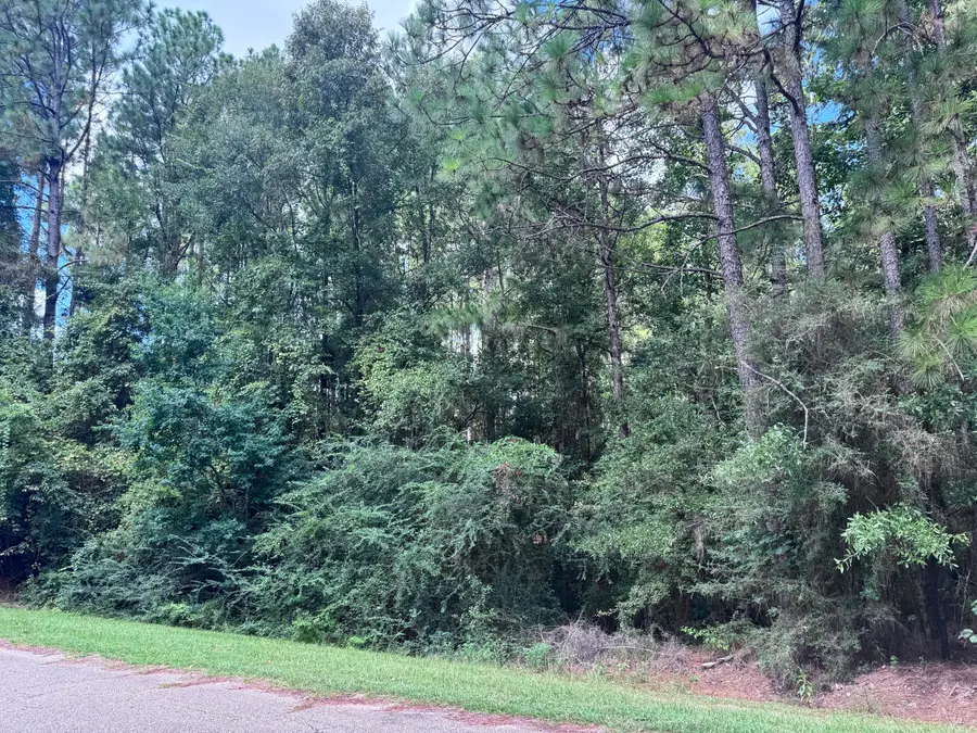 0 Lakeridge Point, Lumberton, MS 39455 - Image #3