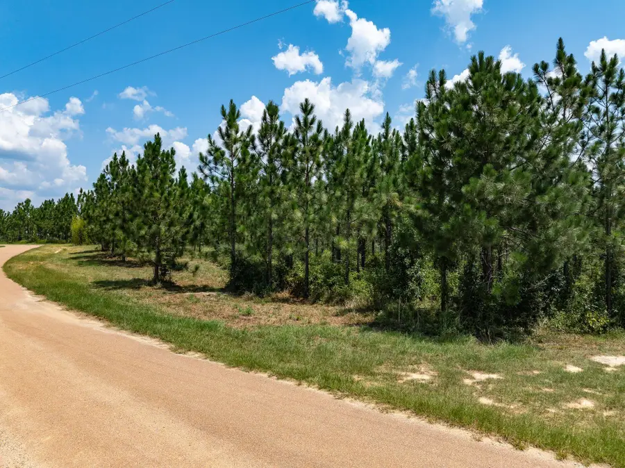 10 Acres Frontier Bend, Hattiesburg, MS 39402 - Image #3