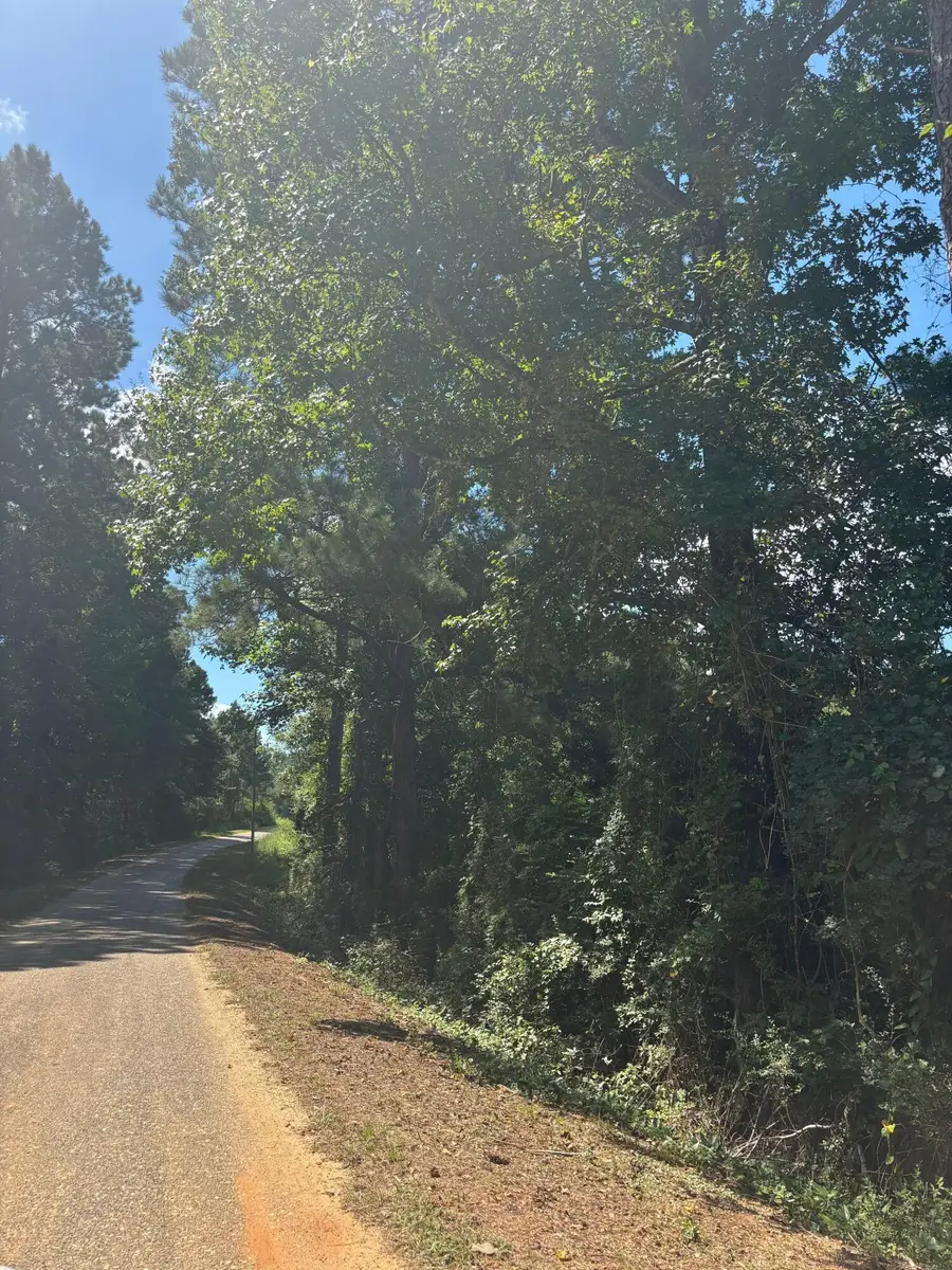 0 Palestine Loop, Oak Vale, MS 39656 - Image #3