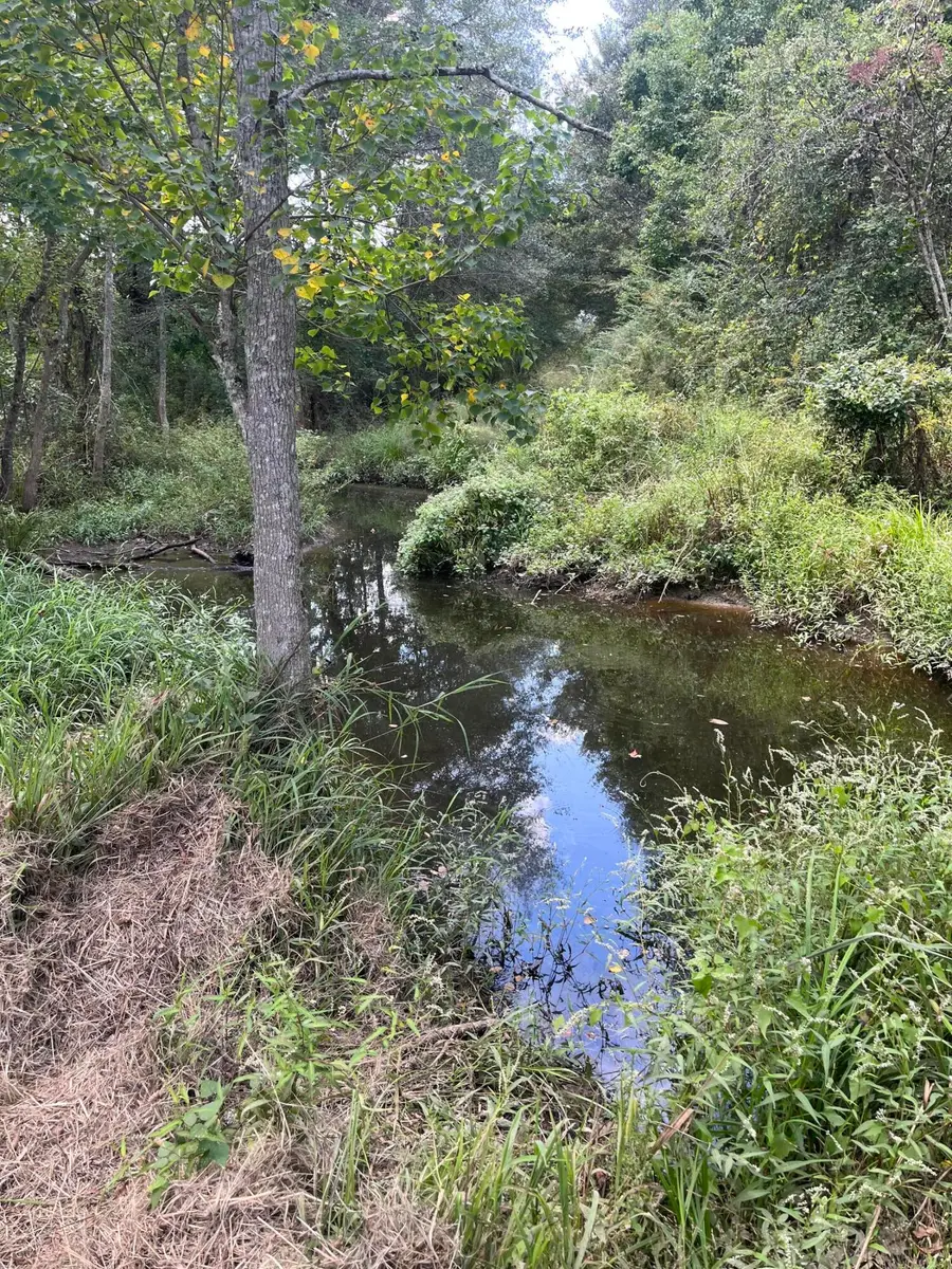 TBD George Boutwell, Ovett, MS 39464 - Image #2