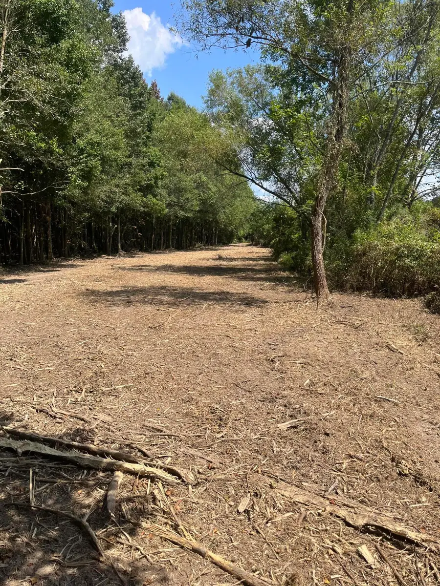 TBD George Boutwell, Ovett, MS 39464 - Image #3