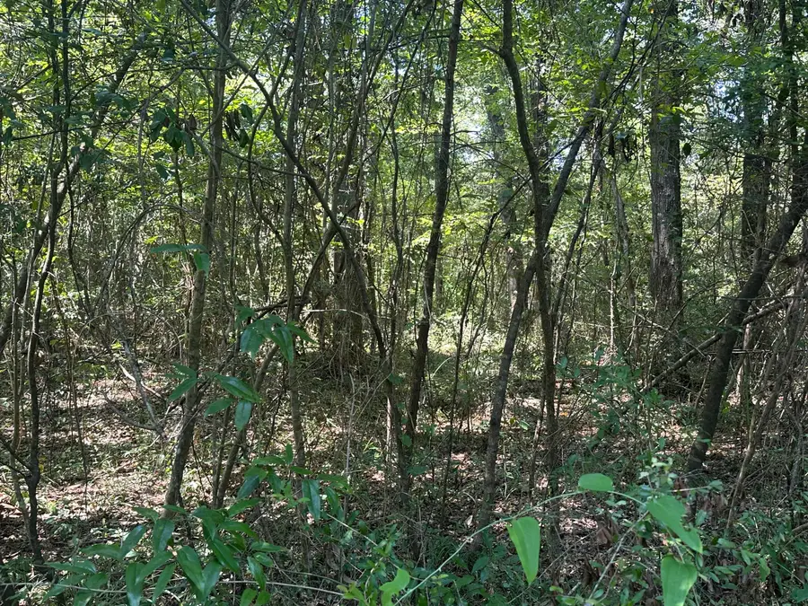 0A Riverwood Blvd., Hattiesburg, MS 39401 - Image #2