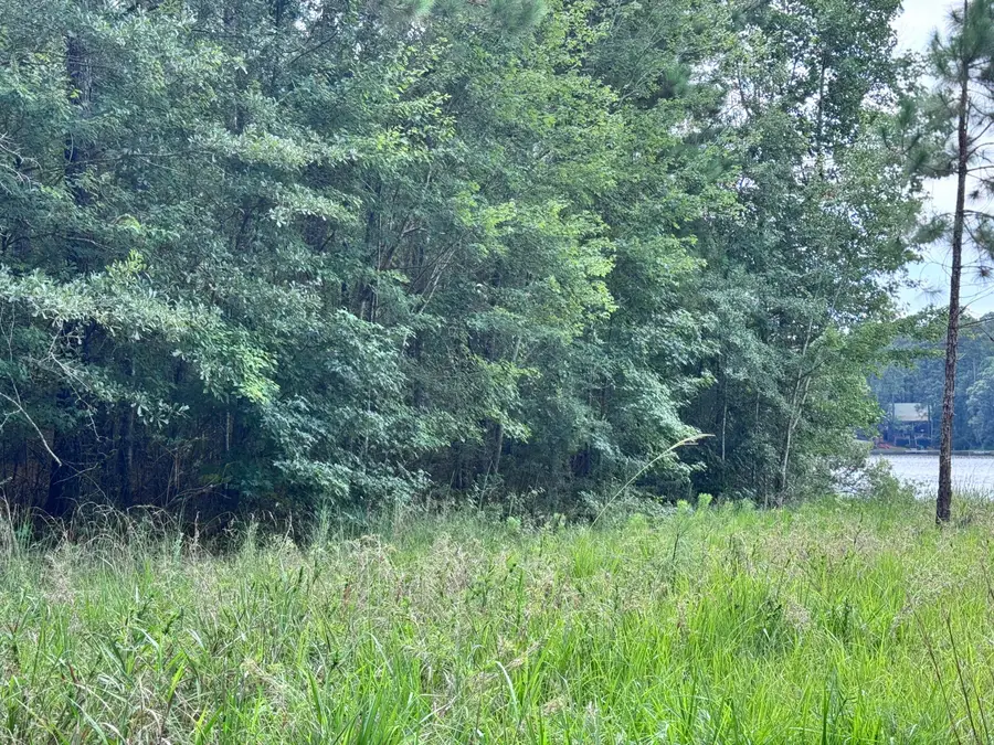 178 Ella Pt. (lot #5), Lumberton, MS 39455 - Image #2