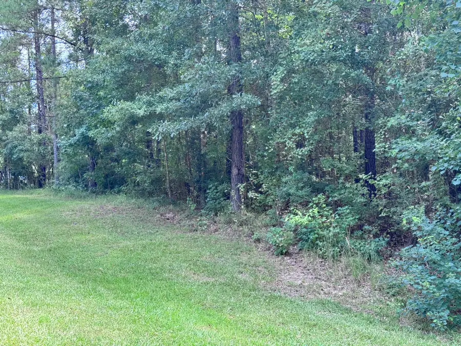 178 Ella Pt. (lot #5), Lumberton, MS 39455 - Image #3