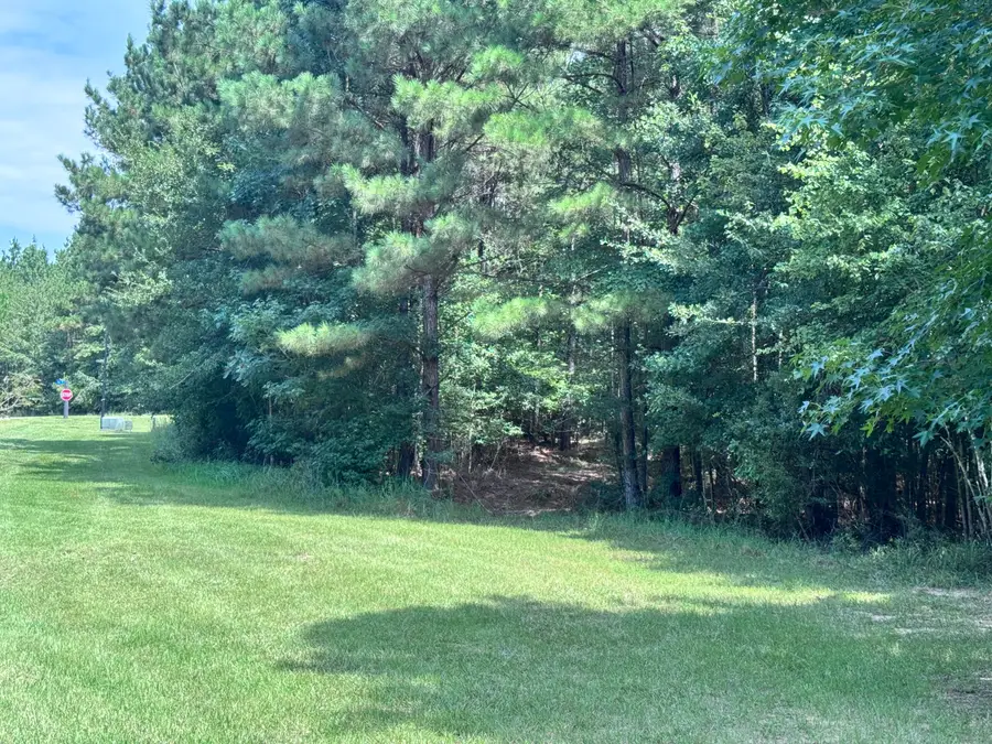 00 Abby Lane (lot 11), Lumberton, MS 39455 - Image #3