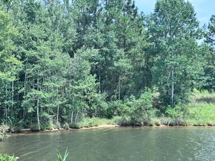 190 Ella Point (lot #12), Lumberton, MS 39455 - Image #2