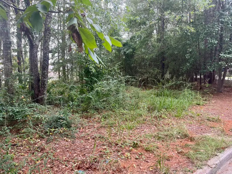 Lot G6 Madewood Ct., Hattiesburg, MS 39402 - Image #2