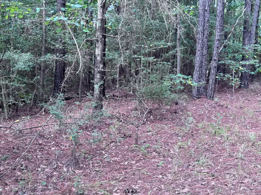 204 Ella Pt (lot 16), Lumberton, MS 39455 - Image #3