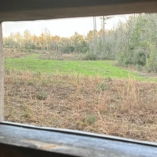 000 Beat 4 Shubuta Rd., Shubuta, MS 39360 - Image #2