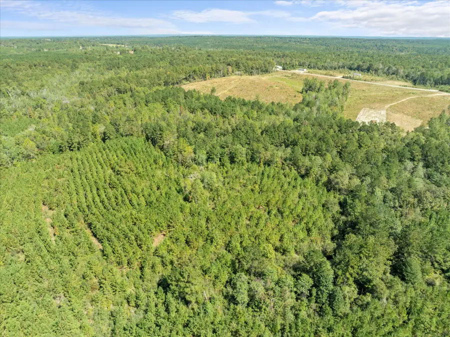 000 Beat 4 Shubuta Rd., Shubuta, MS 39360 - Image #3