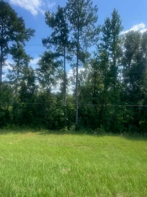 14.83 AC Hwy 98, Lucedale, MS 39452 - Image #2
