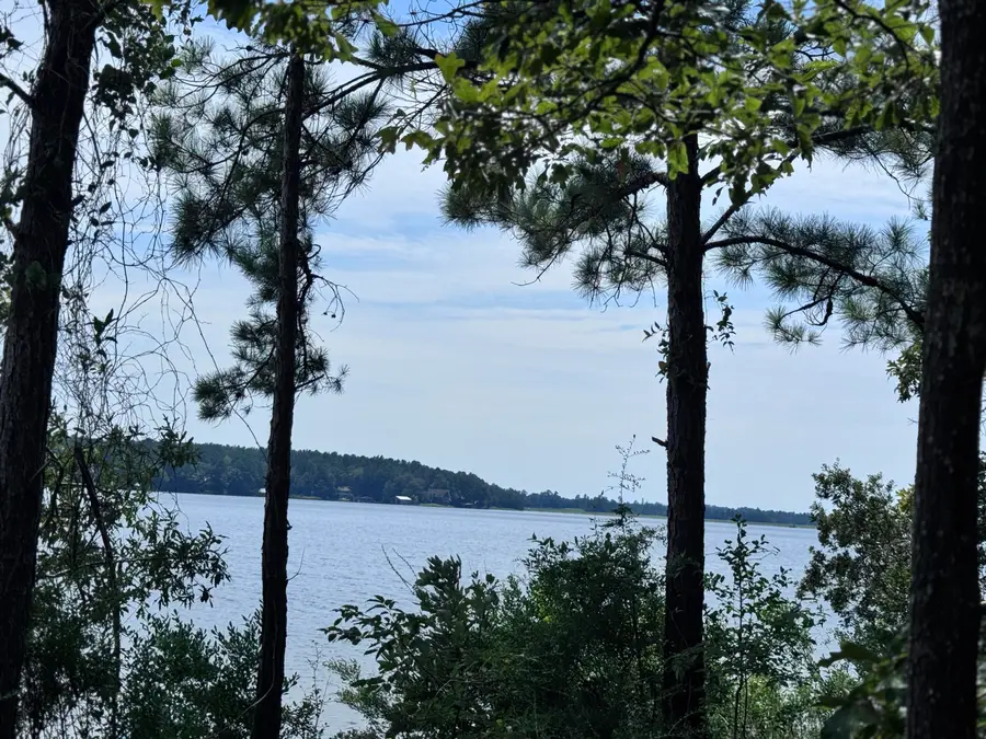52 Anne's Circle (lot 49), Lumberton, MS 39455 - Image #3
