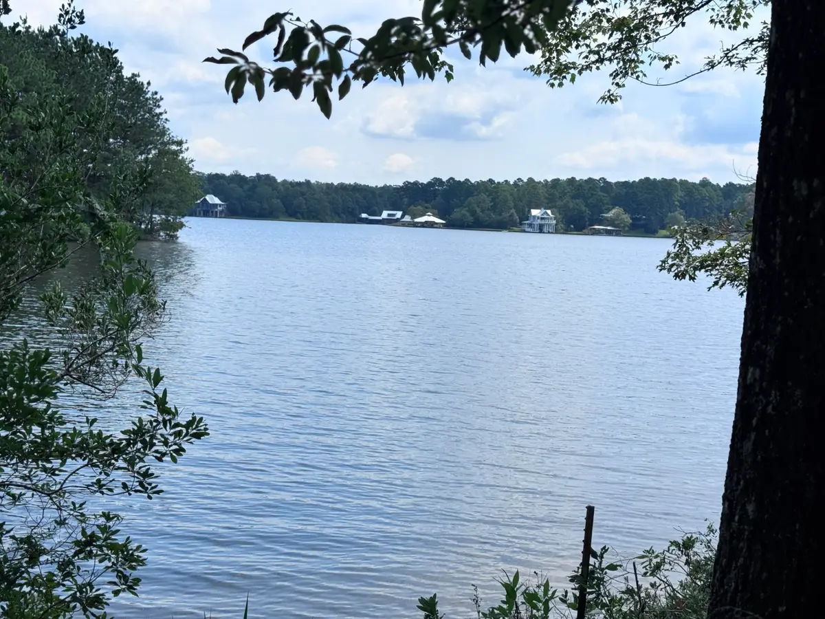 60 Anne's Circle (lot 51), Lumberton, MS 39455 - Image #1