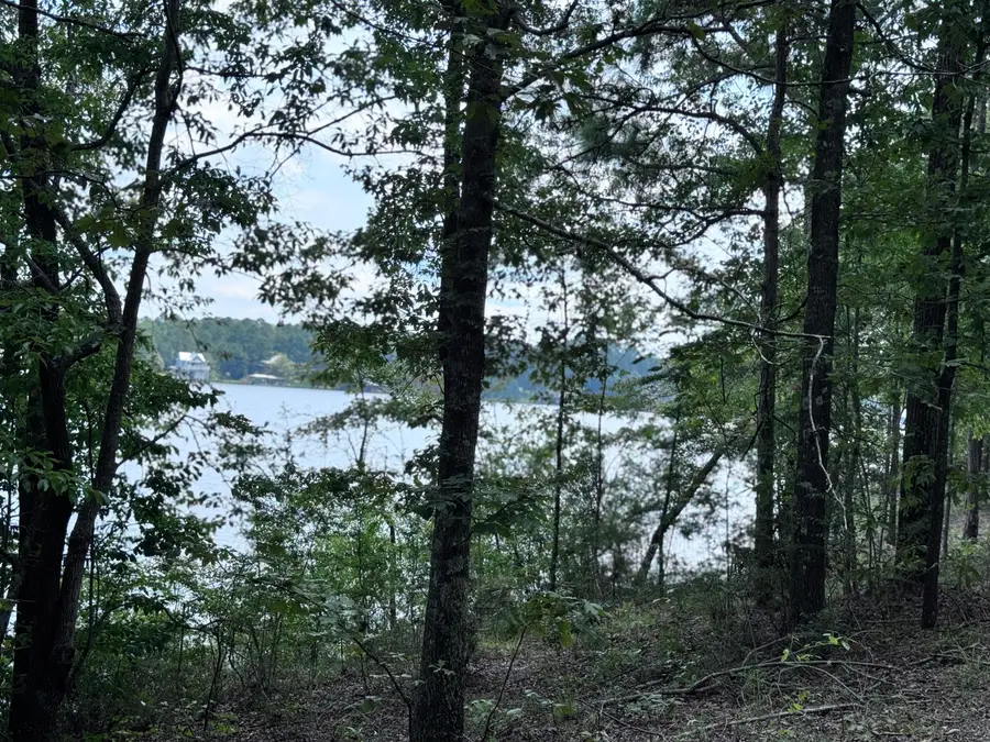 60 Anne's Circle (lot 51), Lumberton, MS 39455 - Image #3