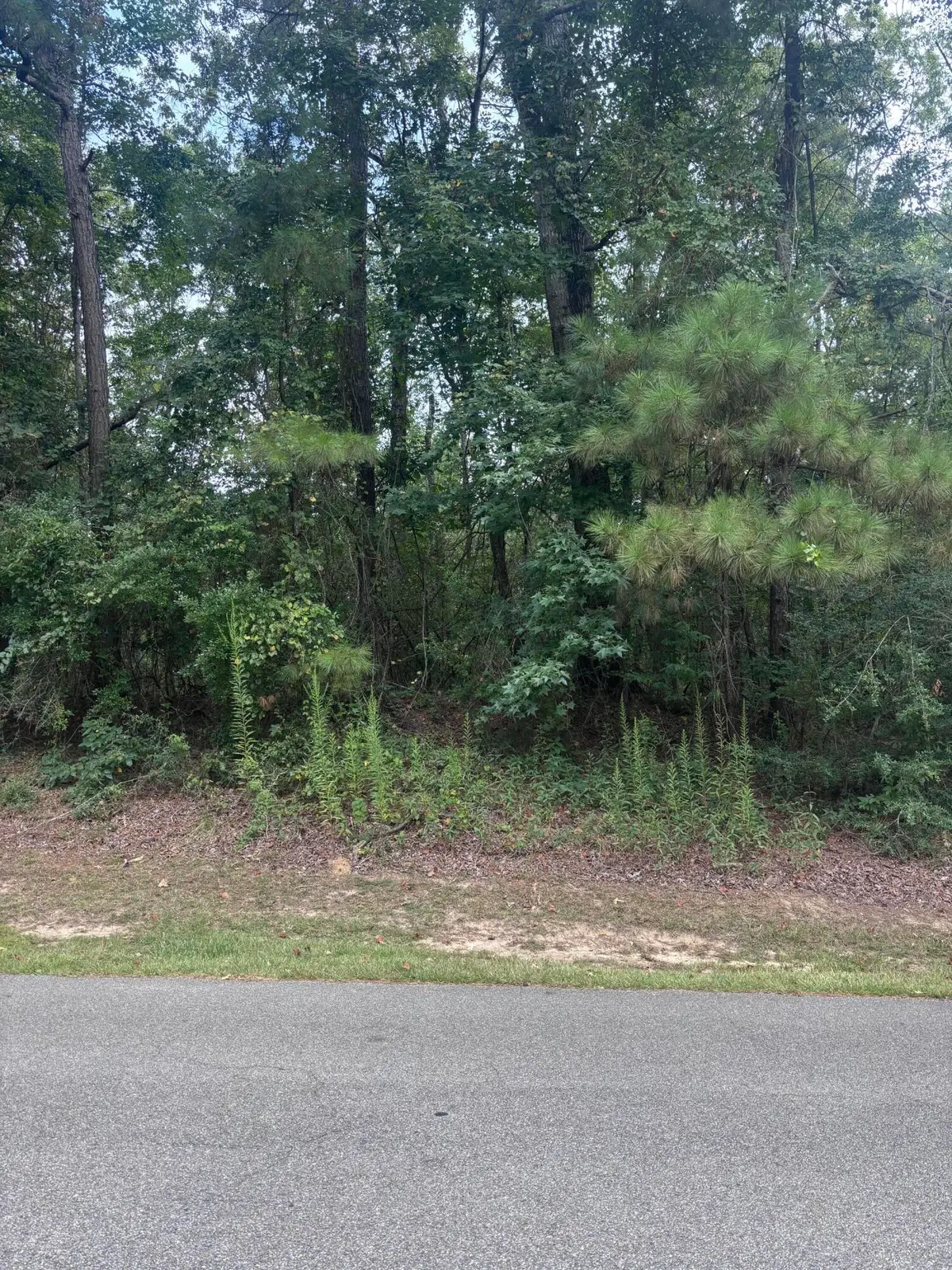 0 Cornerstone, Hattiesburg, MS 39402 - Image #1