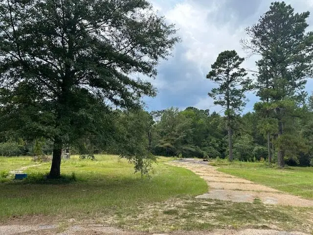 83 Lingle Rd., Columbia, MS 39429 - Image #2