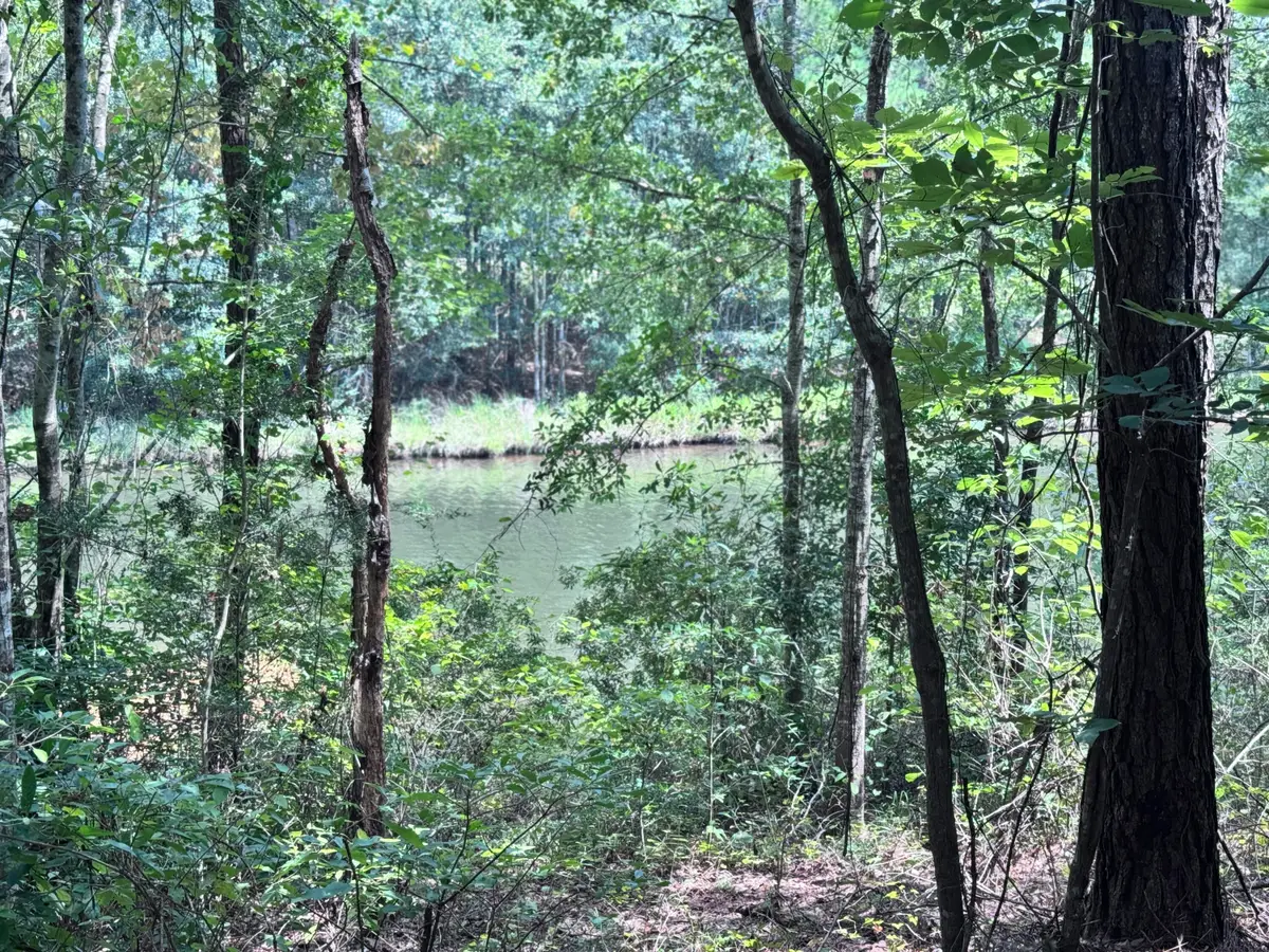 70 Annes Circle (lot 54), Lumberton, MS 39455 - Image #1