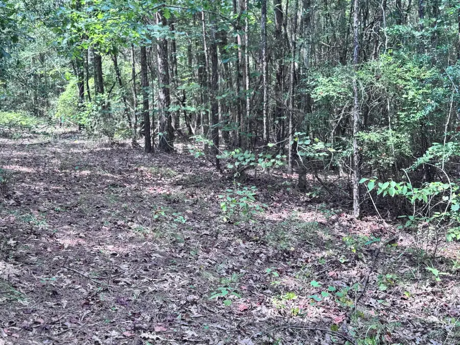 70 Annes Circle (lot 54), Lumberton, MS 39455 - Image #3