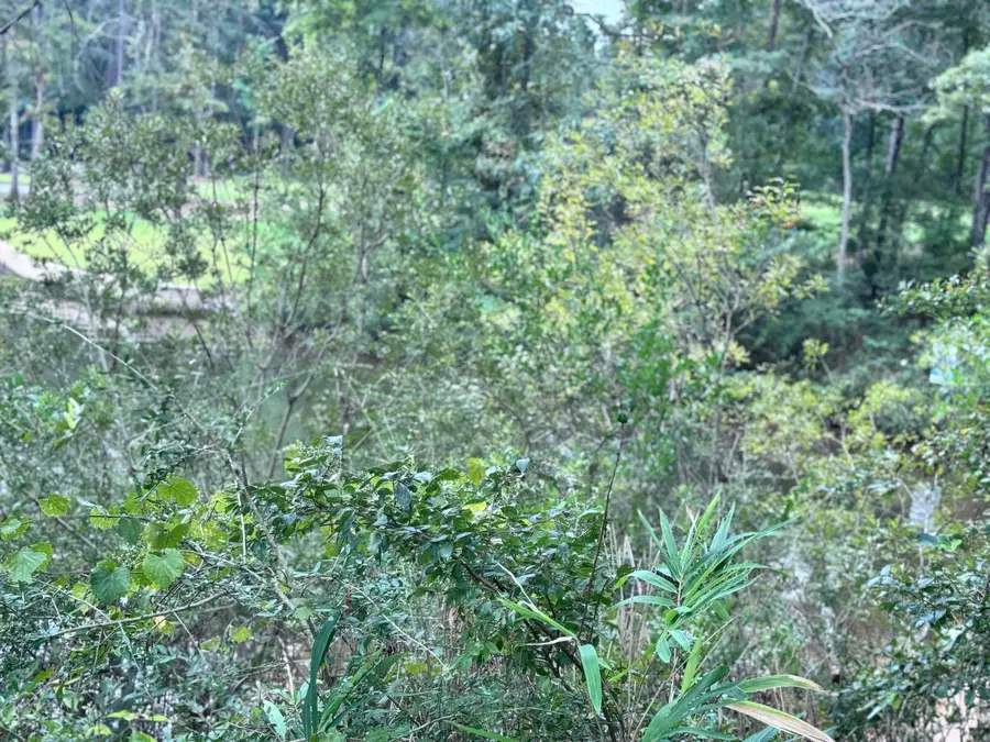 201 Ella Point (lot 31), Lumberton, MS 39455 - Image #2