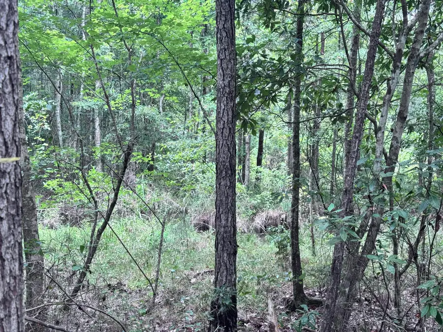 201 Ella Point (lot 31), Lumberton, MS 39455 - Image #3