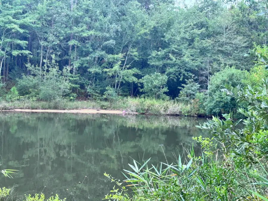 34 Lars Road (lot 37), Lumberton, MS 39455 - Image #2