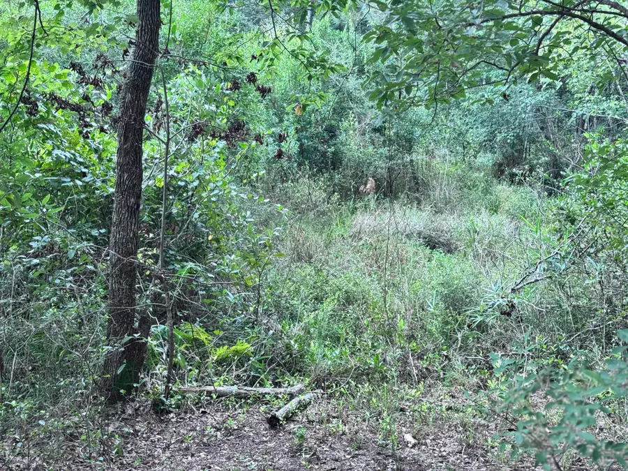 34 Lars Road (lot 37), Lumberton, MS 39455 - Image #3