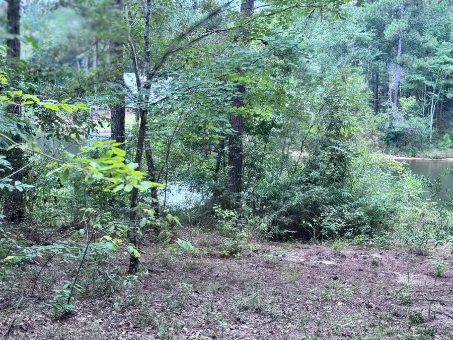 8 Anne's Circle (lot 38), Lumberton, MS 39455 - Image #3