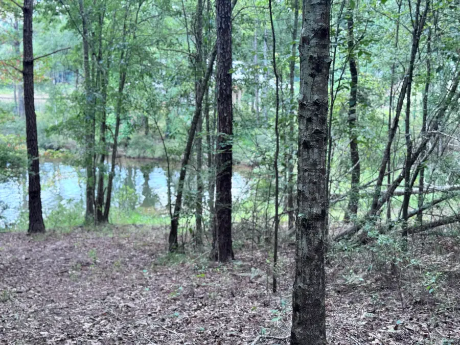 20 Anne's Circle (lot 41), Lumberton, MS 39455 - Image #3