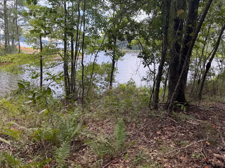 30 Anne's Circle (lot 44), Lumberton, MS 39455 - Image #2