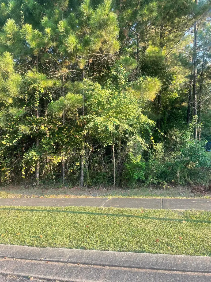 44 Baneberry, Hattiesburg, MS 39402 - #3