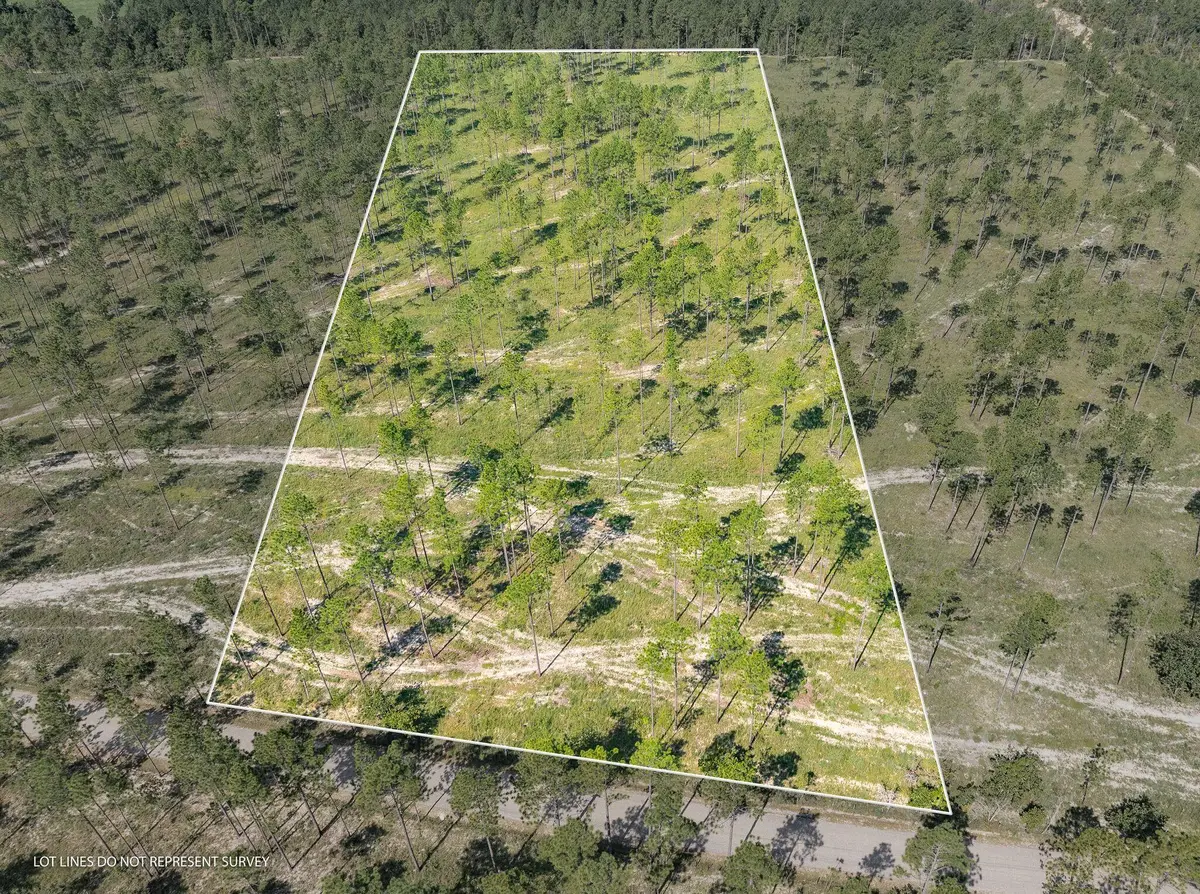 8.4 Acres Crown Zellerback Rd., Lumberton, MS 39455 - Image #1