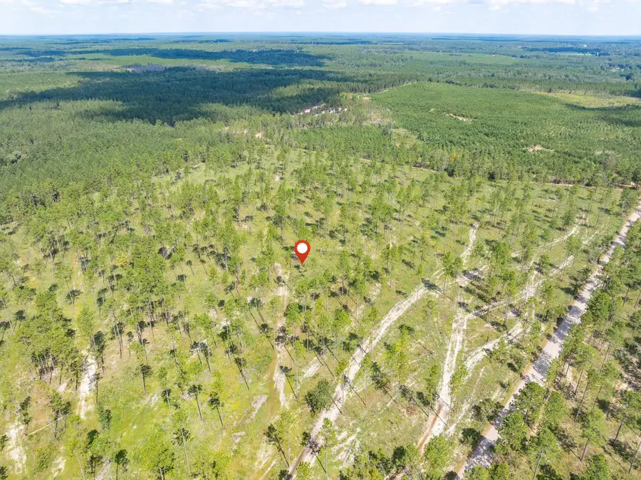 8.4 Acres Crown Zellerback Rd., Lumberton, MS 39455 - Image #3