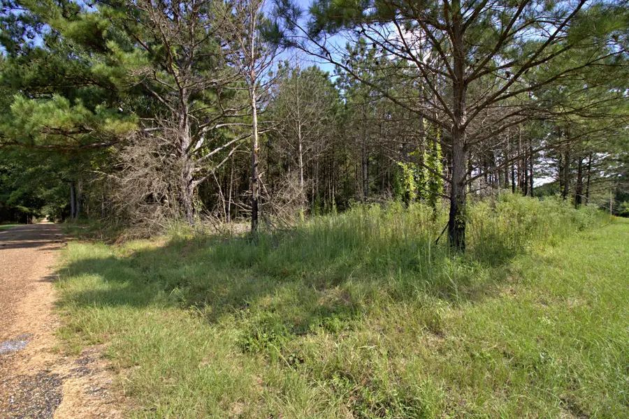 Lot 4 Blacktop Rd., Prentiss, MS 39474 - Image #3