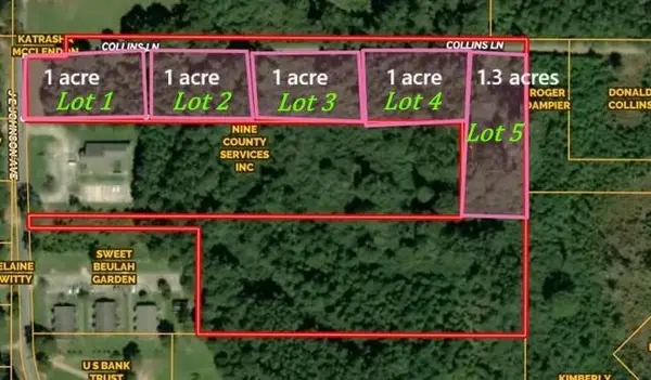 Lot 5 Blacktop Rd., Prentiss, MS 39474