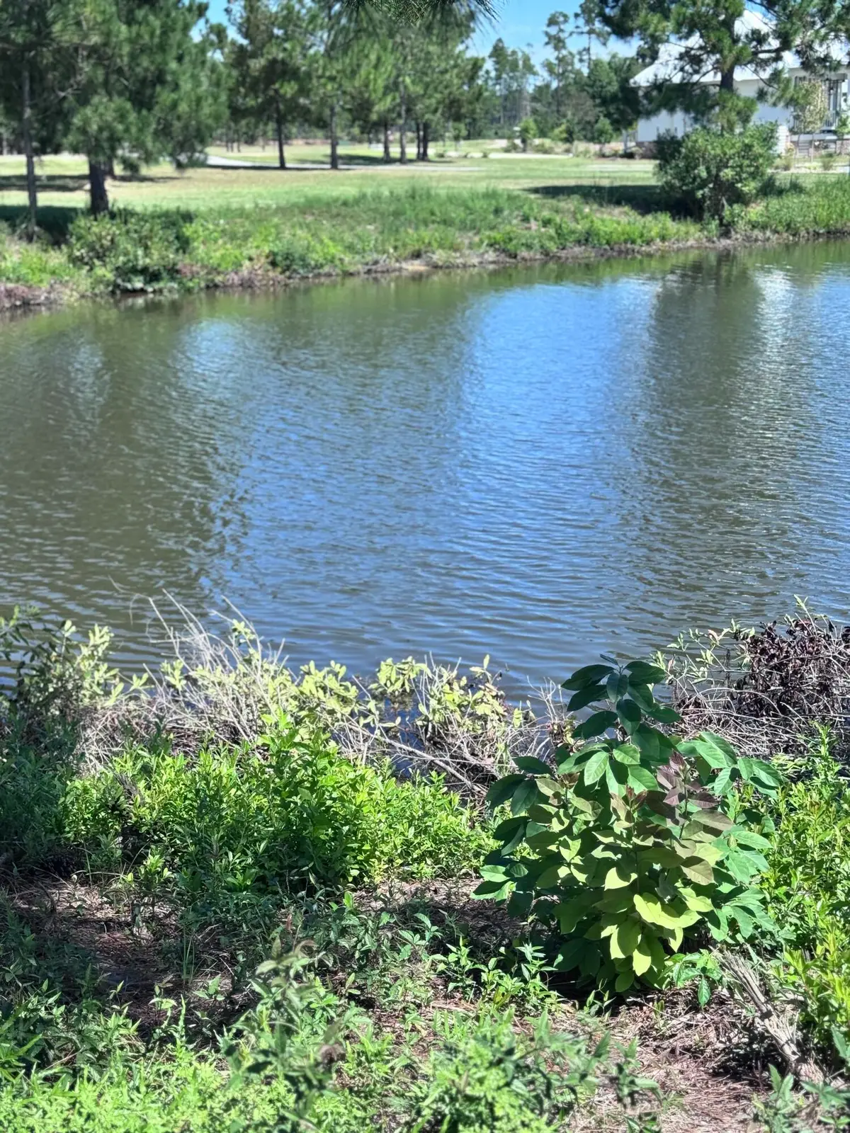 47 Painted Arrow (lot #12), Lumberton, MS 39455 - Image #1