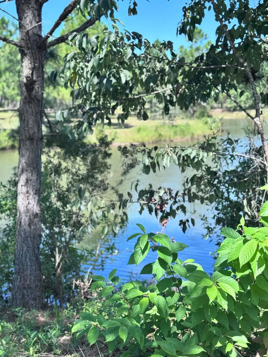 42 Painted Arrow (lot #34), Lumberton, MS 39455 - Image #3