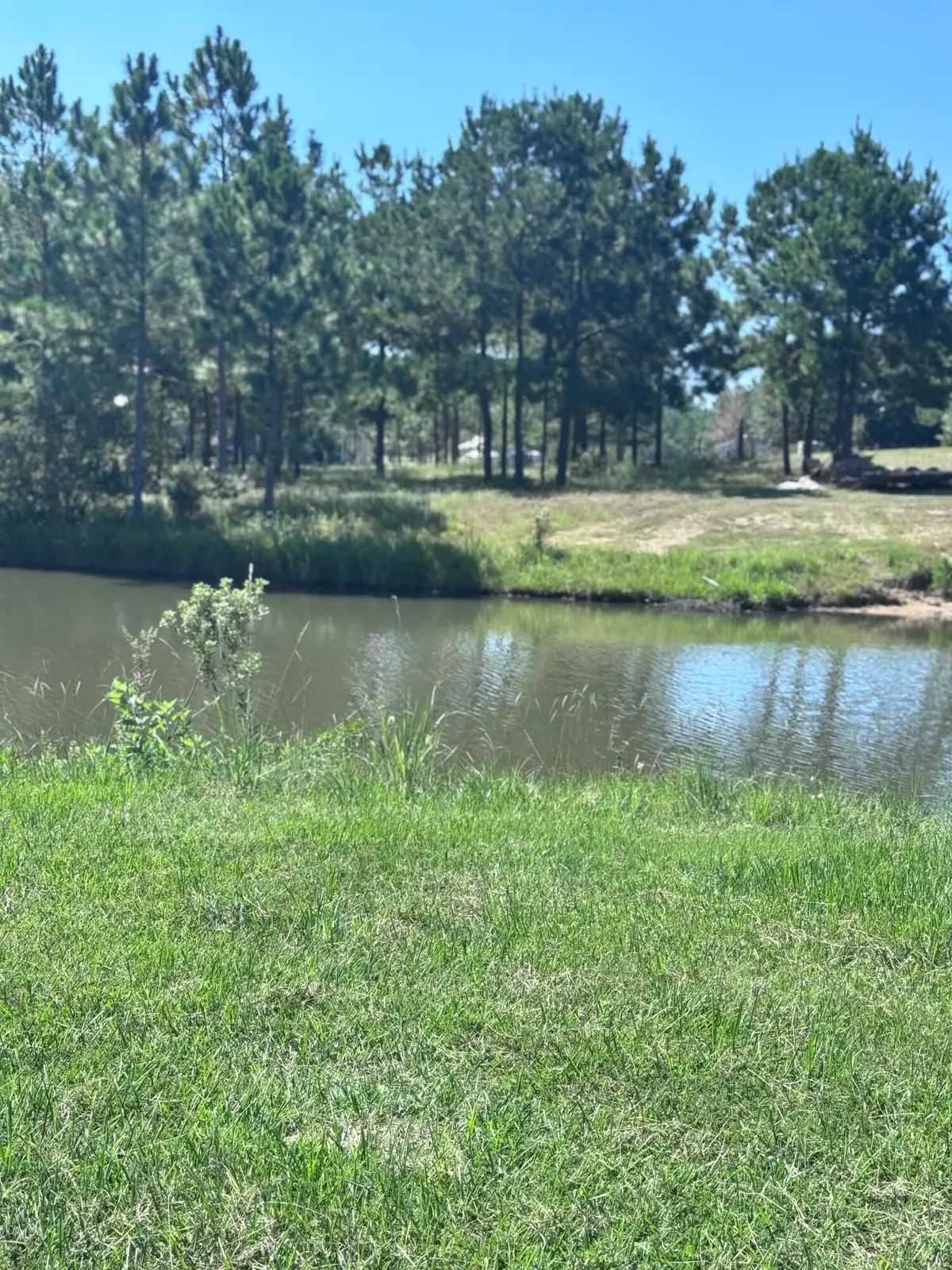 18 Painted Arrow (lot #40), Lumberton, MS 39455 - Image #1