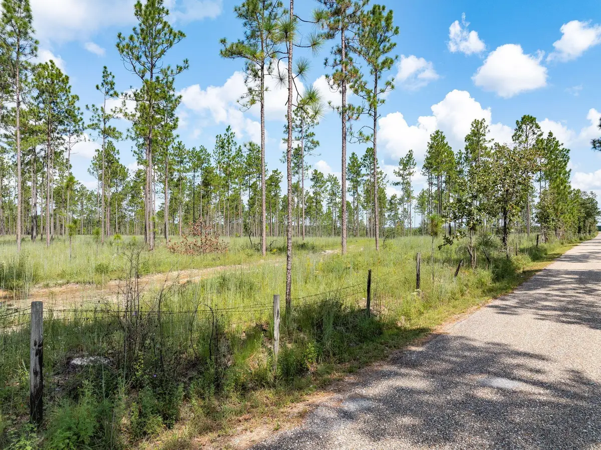 7 Acres Courtney Rd., Lumberton, MS 39455 - Image #1