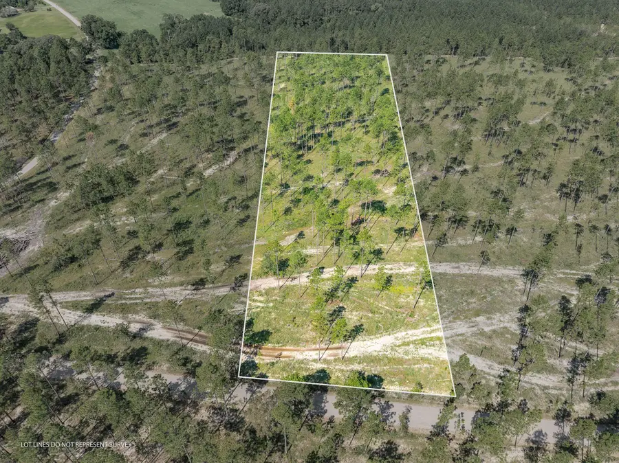 7 Acres Courtney Rd., Lumberton, MS 39455 - Image #2