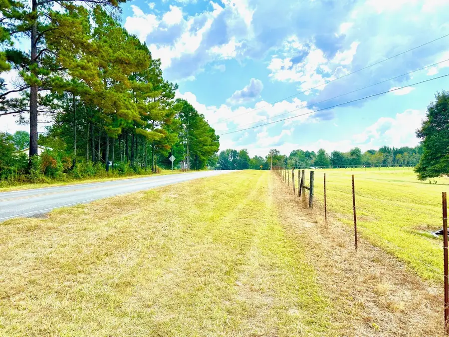 00 Beach Rd., Purvis, MS 39475 - Image #2