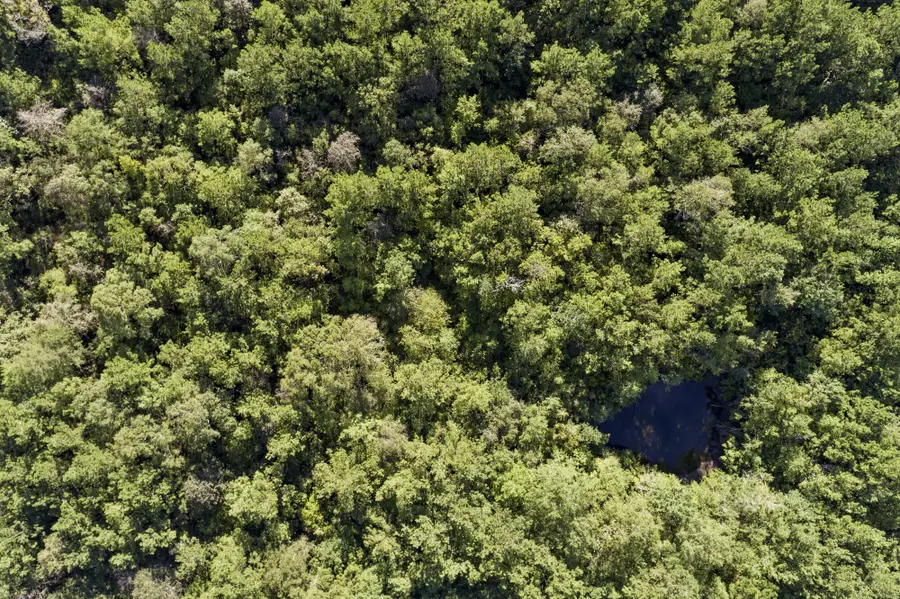 00 Hwy 49, Hattiesburg, MS 39401 - Image #3