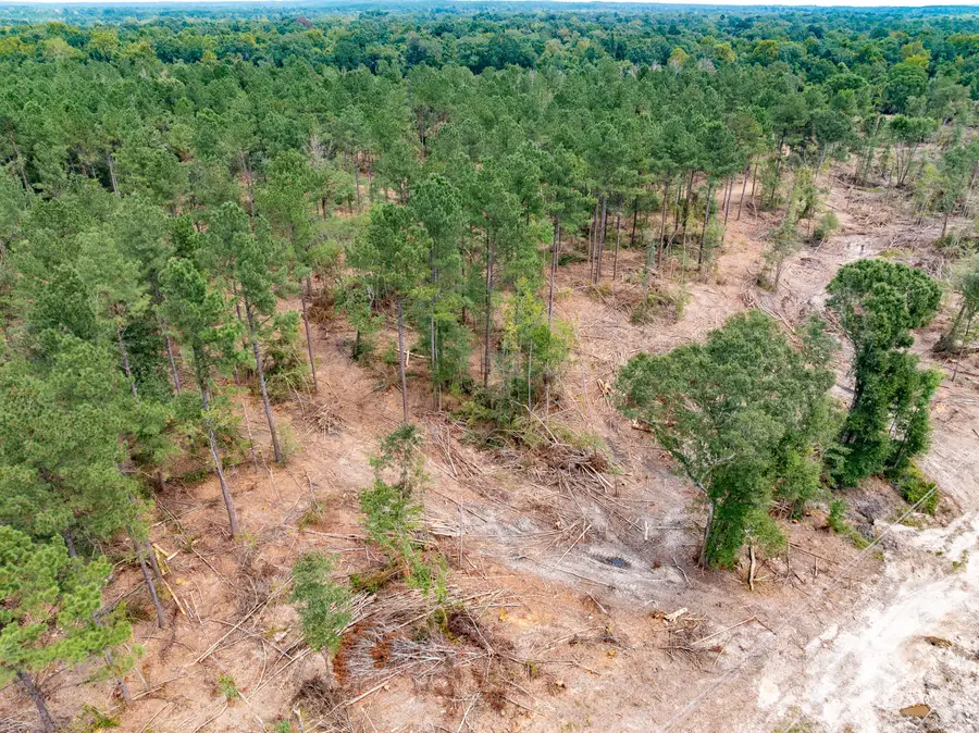 1.05 Mol Ac Old Hwy 24 Parcel 13, Mc Lain, MS 39456 - Image #2