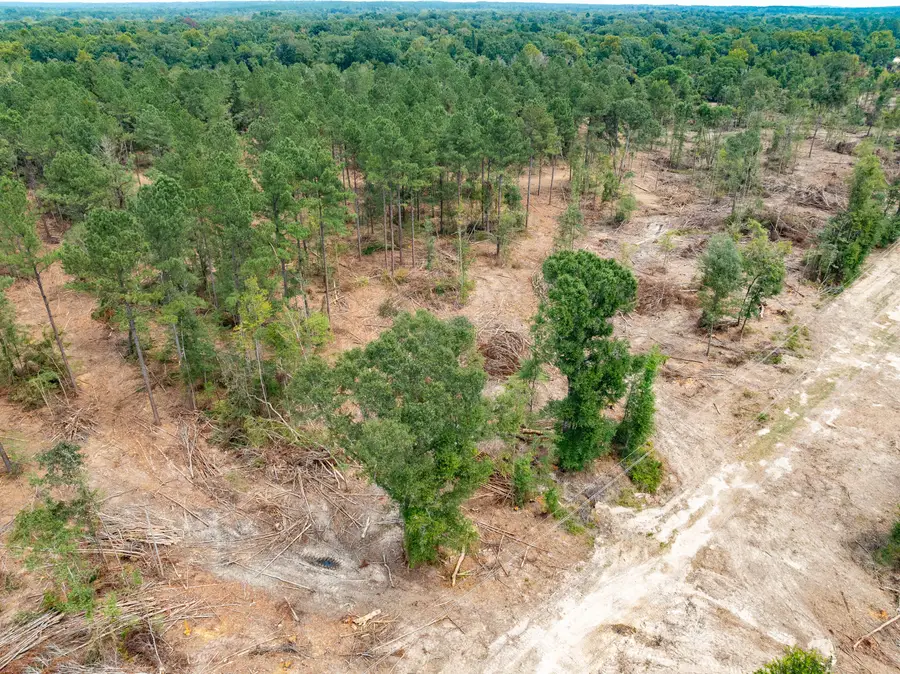 1.05 Mol Ac Old Hwy 24 Parcel 14, Mc Lain, MS 39456 - #2