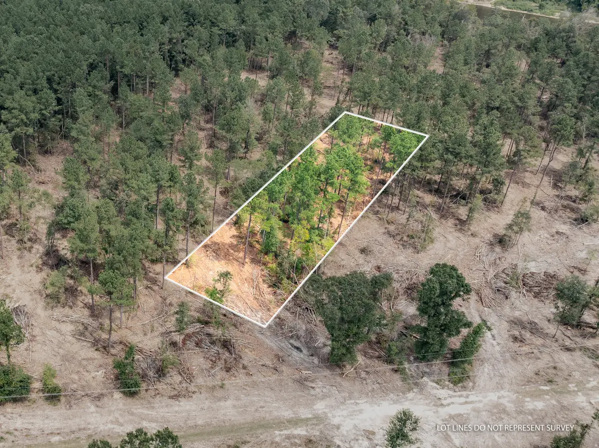1.01 Mol Ac Old Hwy 24 Parcel 15, Mc Lain, MS 39456 - #1