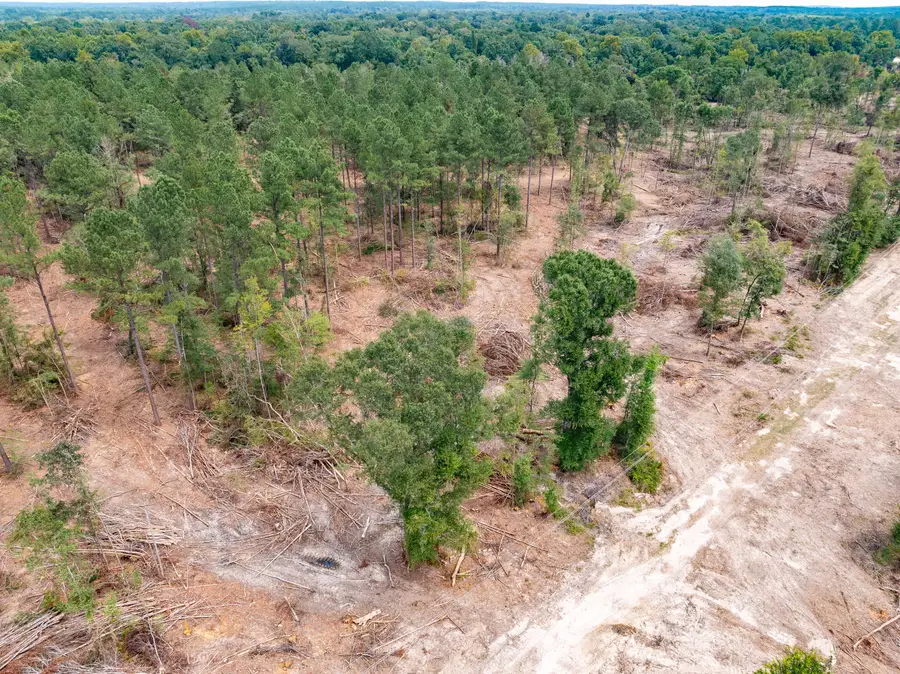 1.01 Mol Ac Old Hwy 24 Parcel 15, Mc Lain, MS 39456 - #2