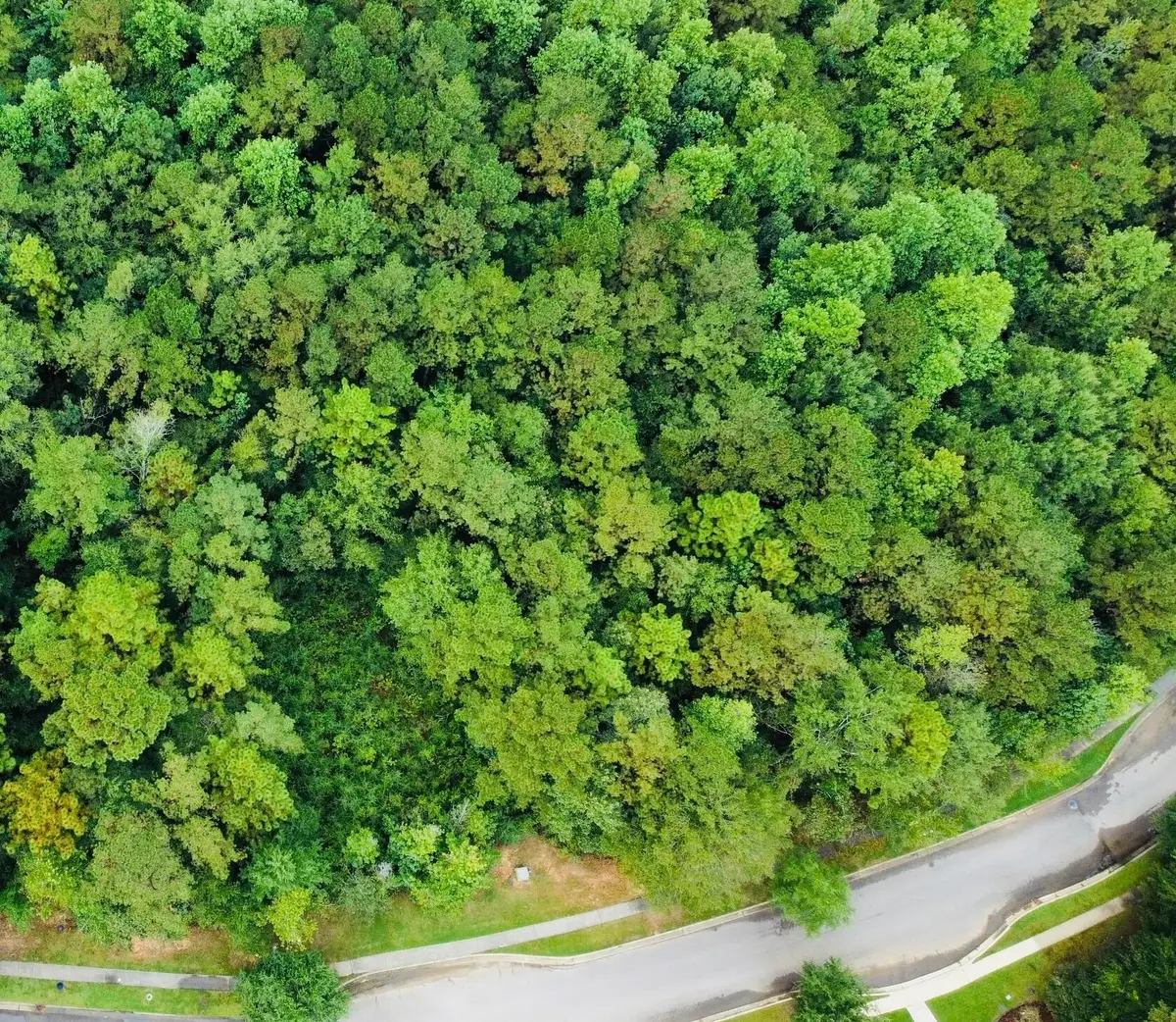 161 Bellegrass Blvd., Hattiesburg, MS 39402 - Image #1