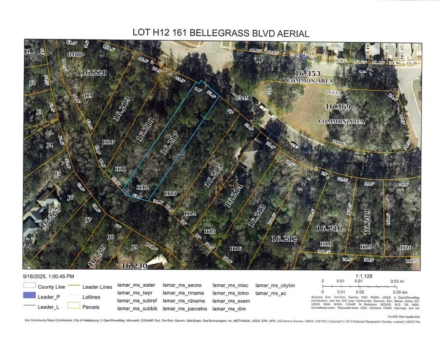 161 Bellegrass Blvd., Hattiesburg, MS 39402 - Image #3