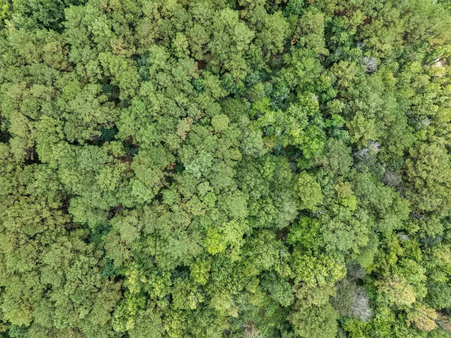 00 S Old Hwy 13, Columbia, MS 39429 - Image #3